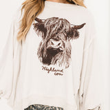 Graphic Camden | Highland Cow