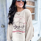 Graphic Camden | Yellowstone Bison