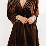 Velvet Chocolate Mini Dress