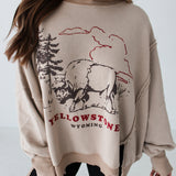 Graphic Camden | Yellowstone Bison