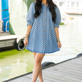 Denim Polka Dot Mini Dress