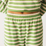 Paige Stripe Pant | Green Multi